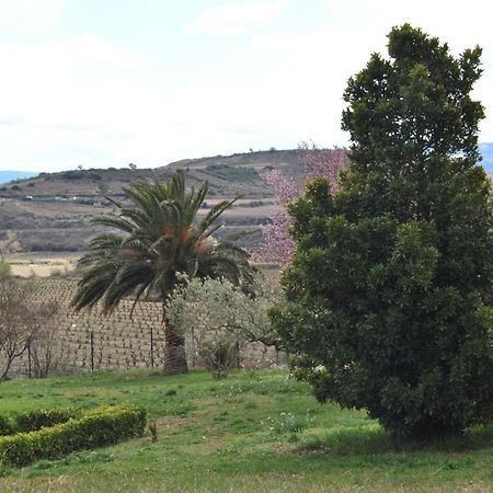 فيلا Casa Pichon Etxea La puebla de Labarca المظهر الخارجي الصورة